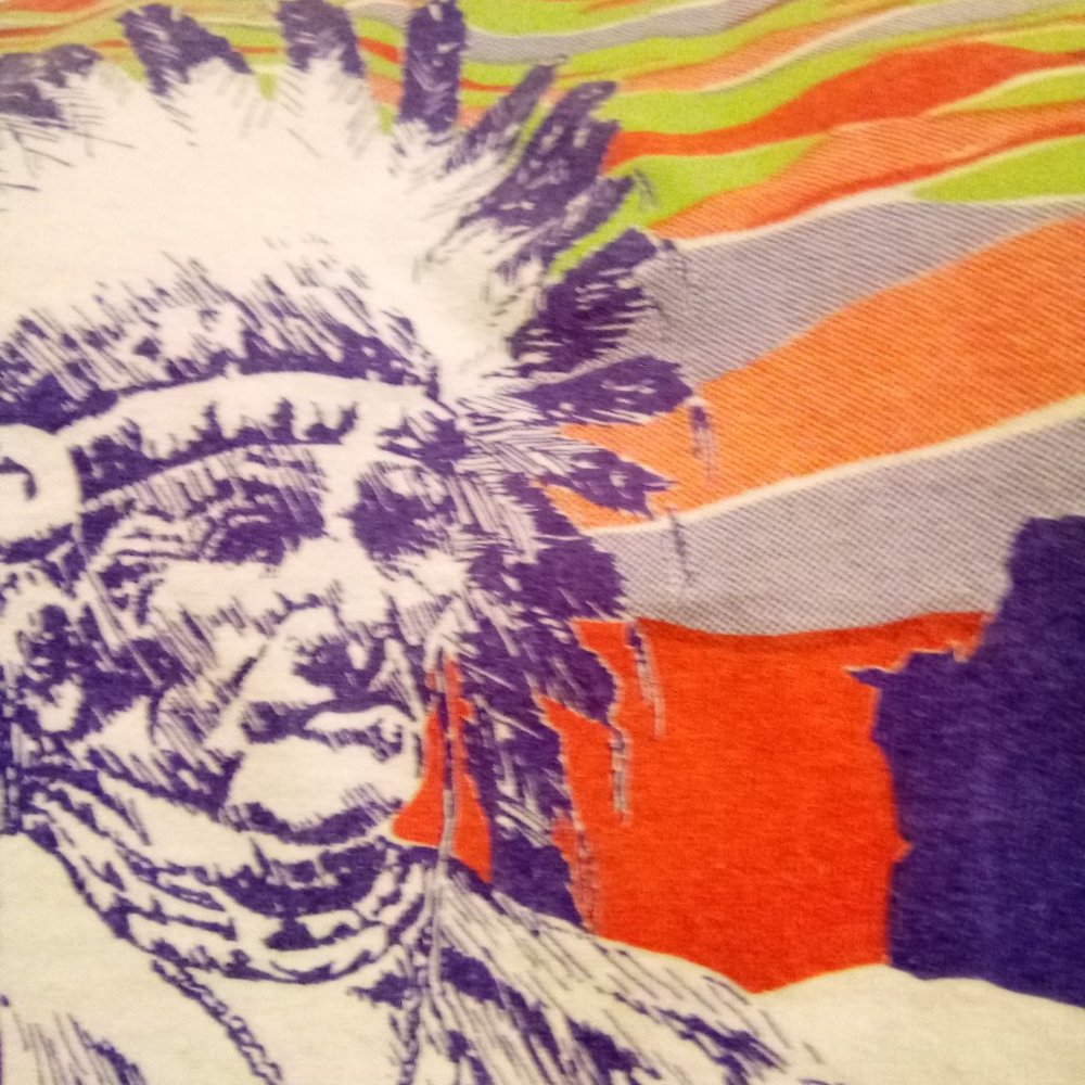 Vintage 1980-90s The Painted Desert Indian Country Screen Stars Graphic Tee - Picture 6 of 7